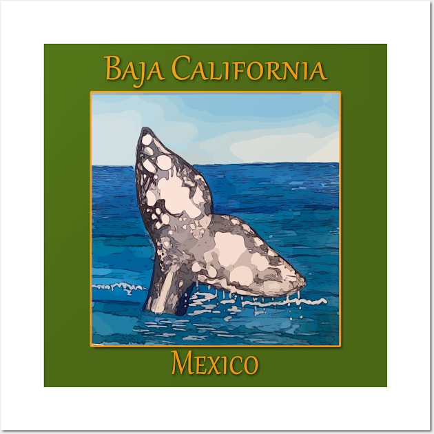 Whale Tail in Baja California Mexico Wall Art by WelshDesigns